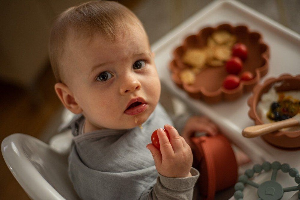 Piatto in silicone Leone