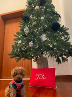 Cuscini arredo natalizi personalizzati