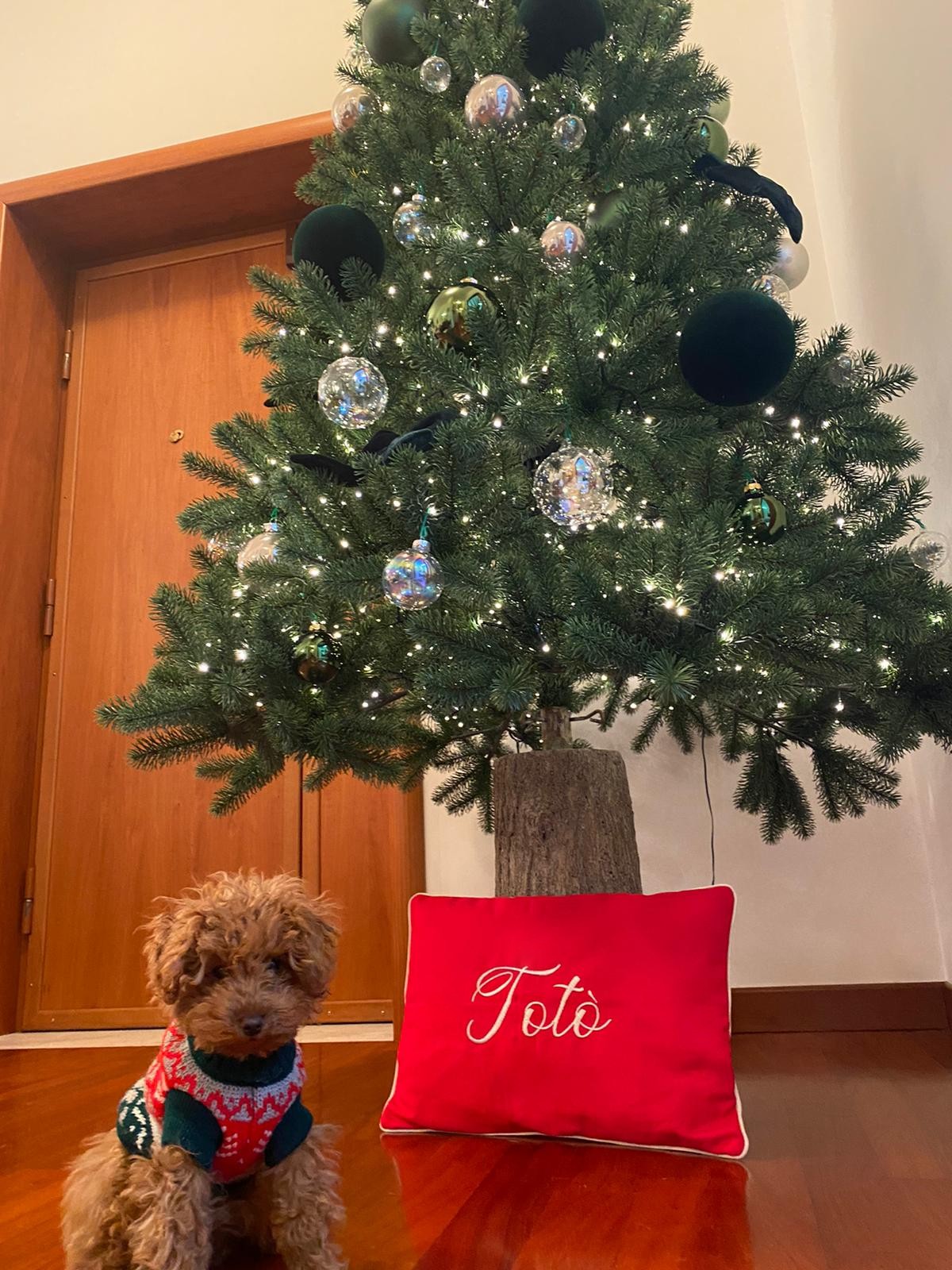 Cuscini arredo natalizi personalizzati